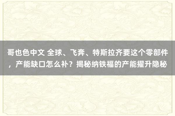 哥也色中文 全球、飞奔、特斯拉齐要这个零部件，产能缺口怎么补？揭秘纳铁福的产能擢升隐秘