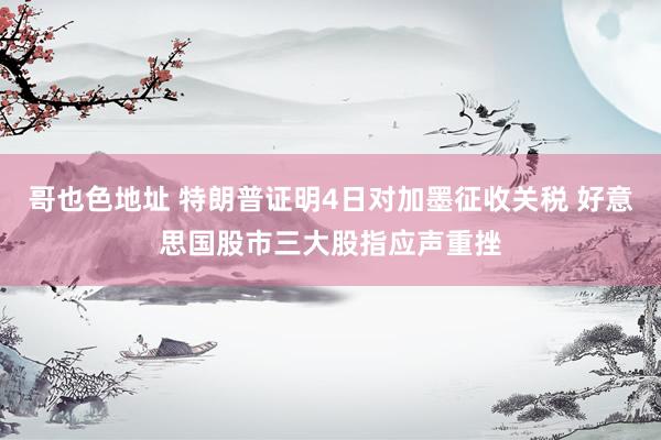 哥也色地址 特朗普证明4日对加墨征收关税 好意思国股市三大股指应声重挫
