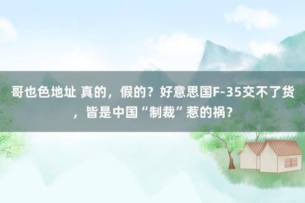 哥也色地址 真的，假的？好意思国F-35交不了货，皆是中国“制裁”惹的祸？