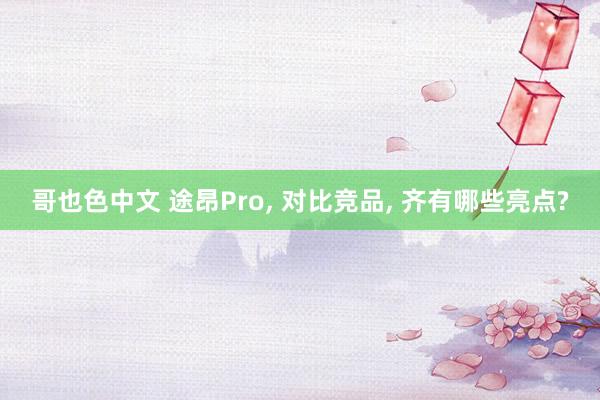 哥也色中文 途昂Pro, 对比竞品, 齐有哪些亮点?