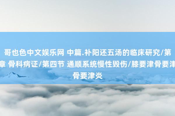 哥也色中文娱乐网 中篇.补阳还五汤的临床研究/第四章 骨科病证/第四节 通顺系统慢性毁伤/膝要津骨要津炎